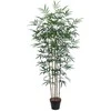 Home4you Žalias augalas BAMBOO, aukštis 150 cm