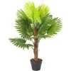 Home4You Žalias augalas FAN PALM H100cm