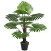 Home4You Žalias augalas FAN PALM H100cm