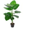Home4You Žalias augalas POTHOS H90cm