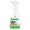 Mkds Žalias sodo muilas AGROCLEAN koncentratas, 500 ml