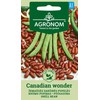Žemaūgių daržinių pupelių CANADIAN WONDER sėklos, 10 g