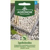 Žemaūgių daržinių pupelių IGOLOMSKA sėklos, 10 g