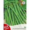 Žemaūgių daržinių pupelių sėklos SAXA, 20 g