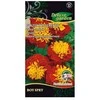 Žemaūgių serenčių sėklos Delux Garden 0.2g Boy Spry