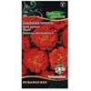Žemaūgių serenčių sėklos Delux Garden 20vnt. Durango Raudona