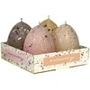 Žvakių rinkinys Kiaušiniai Bartek CandlesPV2024 45x60mm/dega 8h