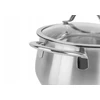 Zwieger Practi Plus tradicinis puodas 2,7 l