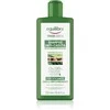 Equilibra Streng Anti Loss šampūnas 300ml