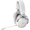 Ausinės su mikrofonu Rampage RETSU Baltos/Pilkos Belaidės 2.4G Bluetooth