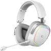 Ausinės su mikrofonu Rampage RETSU Baltos/Pilkos Belaidės 2.4G Bluetooth