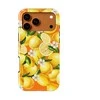 Voltuna Dėklas „Citrus Splash Burst“ su MagSafe Apple iPhone 13-17 modeliams