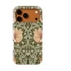 Voltuna Dėklas „Floral Whispers in Stone“ su MagSafe Apple iPhone 13-17 modeliams