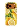 Voltuna Dėklas „Golden Zest Delight“ su MagSafe Apple iPhone 13-17 modeliams