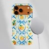 Voltuna Dėklas „Vintažinės Citrusų Plytelės“ su MagSafe Apple iPhone 13-17 modeliams