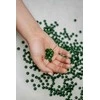 Powdi Ekologiška Chlorella tabletės, 600 g – šeimos pakuotė detoksikacijai, imunitetui ir energijai, ekologiškas maisto papildas