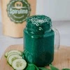 Powdi Ekologiška Spirulina milteliai, 200 g – melsvadumblis maisto papildas be priedų, natūralus baltymų ir geležies šaltinis energijai, imunitetui ir žarnynui