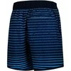 AQUA SPEED Men's Nolan Swim Shorts Navy/Mėlyna