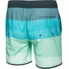 AQUA SPEED Men's Nolan Swim Shorts Pilkas/Mint