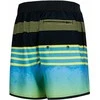 AQUA SPEED Men's Nolan Swim Shorts Pilkas/Žalias/Mėlyna