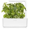Click And Grow Click &amp; Grow sėklos išmaniajam vazonui - Citrininis bazilikas (SGR100X3) 3vnt.