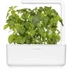 Click And Grow Click & Grow sėklos išmaniajam vazonui - Citrininis bazilikas (SGR100X3) 3vnt.