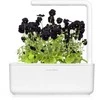 Click And Grow Click &amp; Grow sėklos išmaniajam vazonui - Juodosios našlaitės, 3vnt.