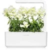 Click & Grow Smart Garden Refill Baltas Snapdragon 3pcs SGR78X3 ()