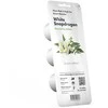 Click & Grow Smart Garden Refill Baltas Snapdragon 3pcs SGR78X3 ()