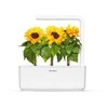 Click Grow „Click and Grow“ – išmaniojo sodo papildymas, 3 vnt. pakuotė – mini saulėgrąžos, 100 % be žiedadulkių ir lengvai auginamos – mini – geltonos