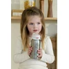 Rosti Mepal Little Dutch Insulated Bottle with Flip Cap ´Fairy Wonders´ 500 ml