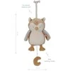 Little Dutch Muzikinė dėžutė pelėda ´Owl´