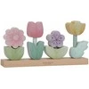 Little Dutch Sustatomos gėlės 'Fairy Garden'