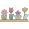 Little Dutch Sustatomos gėlės 'Fairy Garden'