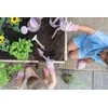 Little Dutch Laistytuvas ´Fairy Garden´