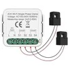 Energijos matavimo modulis Feelspot FS-PMM02W WiFi, Tuya