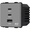 Greito krovimo rozetė Feelspot su USB+C+C jungtimis, 65W, pilka