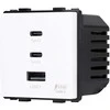 Greito krovimo rozetė Feelspot su USB+C+C jungtimis, 65W, balta
