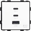 Greito krovimo rozetė Feelspot su USB+C+C jungtimis, 65W, balta