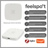 Išmanusis būvio daviklis Feelspot FS-HP01Z Zigbee, Tuya