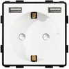 Kištukinis lizdas su USB Feelspot