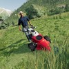 Farming Simulator 19 Ambassador Edition PS4