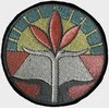 Klaipėdos "Aukuro" gimnazijos emblema, EMBLEMA: Emblema su prisiuvimu