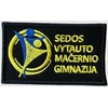Sedos Vytauto Mačernio gimnazijos embelma, EMBLEMA: Emblema su prisiuvimu