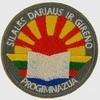 Šilalės Dariaus ir Girėno progimnazijos emblema, EMBLEMA: Emblema su prisiuvimu