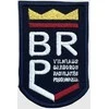 Vilniaus Barboros Radvilaitės progimnazijos emblema, EMBLEMA: Emblema