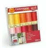 Gutermann siuvimo siūlų rinkinys 734006/4
