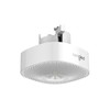 Sengled Pulse Wave MasterCeiling