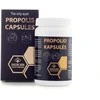 PROPOLIO KAPSULĖS, 40 kaps.