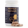 PROPOLIO KAPSULĖS, 40 kaps.